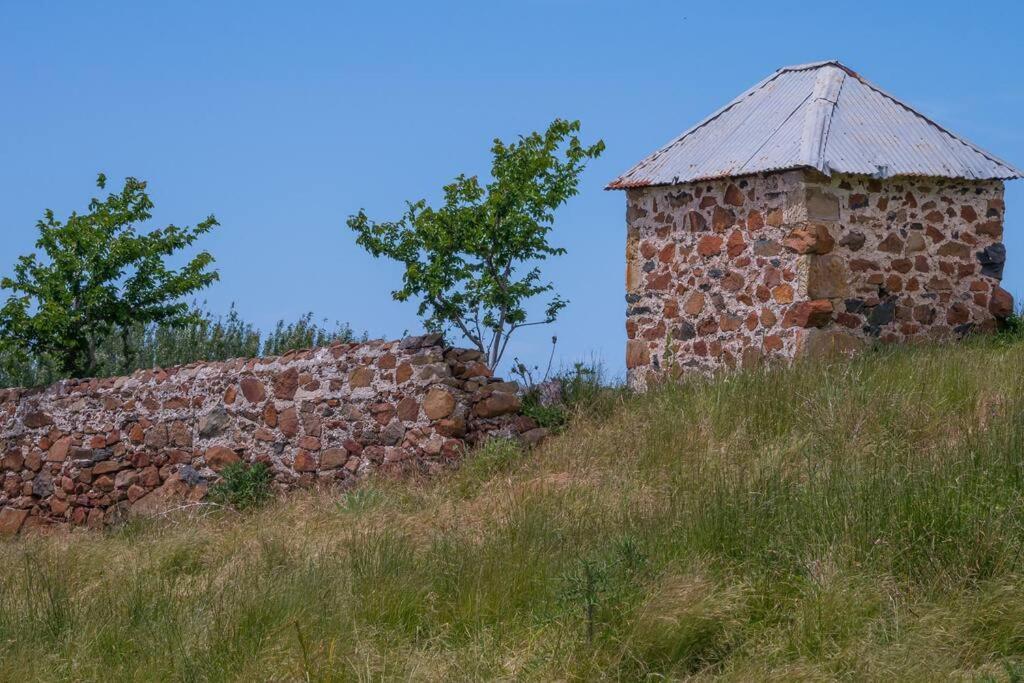 Villa *Newly Relisted* Coach House At Lisdillon Vineyard à Little Swanport Extérieur photo
