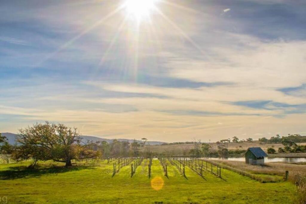 Villa *Newly Relisted* Coach House At Lisdillon Vineyard à Little Swanport Extérieur photo