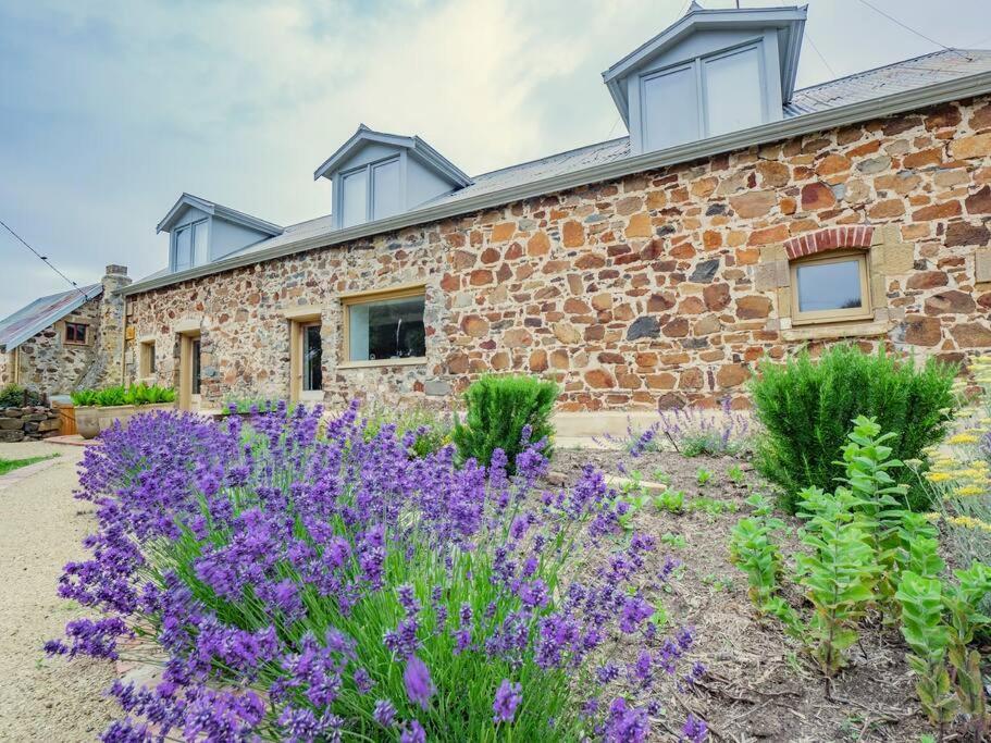 Villa *Newly Relisted* Coach House At Lisdillon Vineyard à Little Swanport Extérieur photo